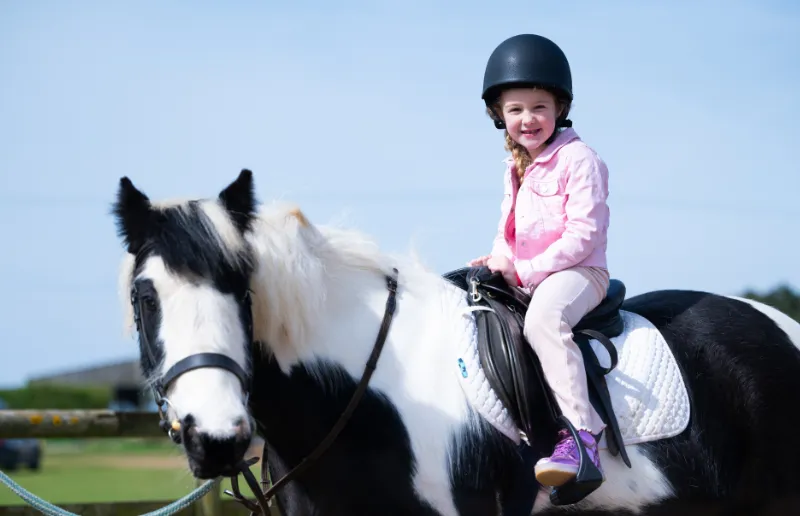 Picture of Pony Rides