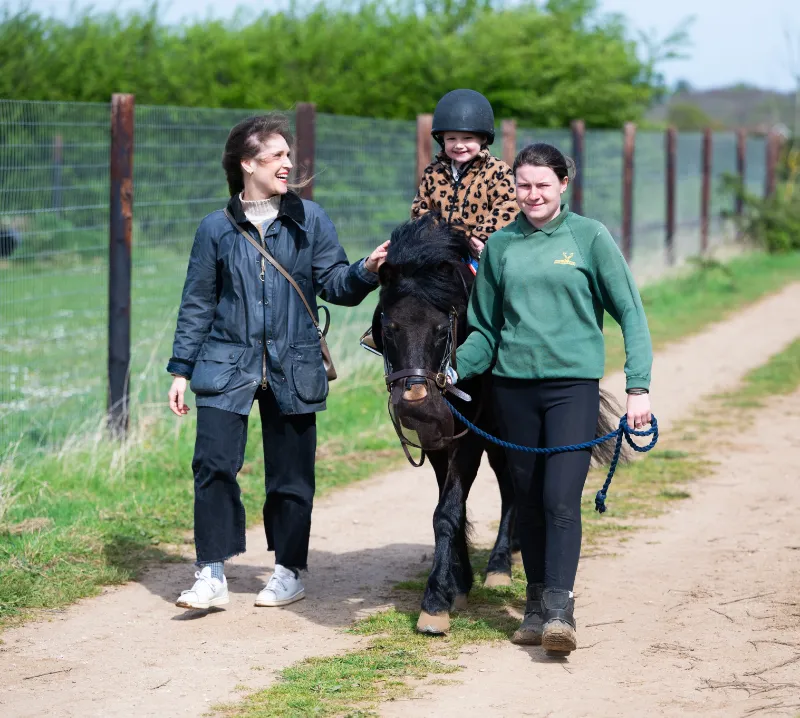 Pony Rides 2