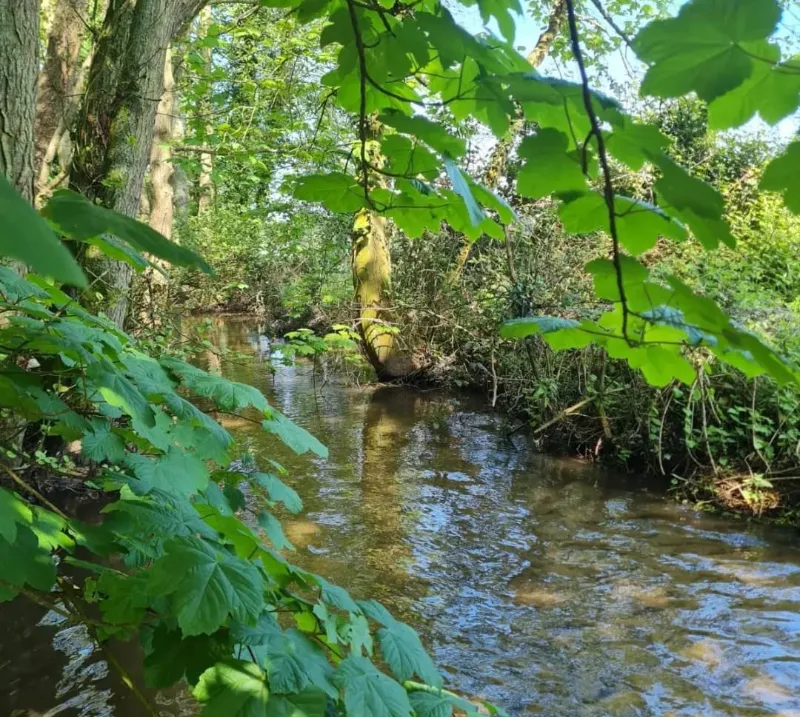 Archaeological Trail